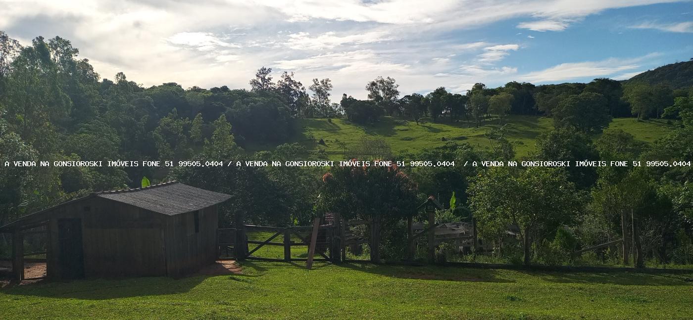 Sítio, 2 hectares - Foto 21