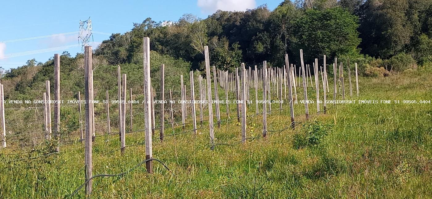 Fazenda, 19 hectares - Foto 22