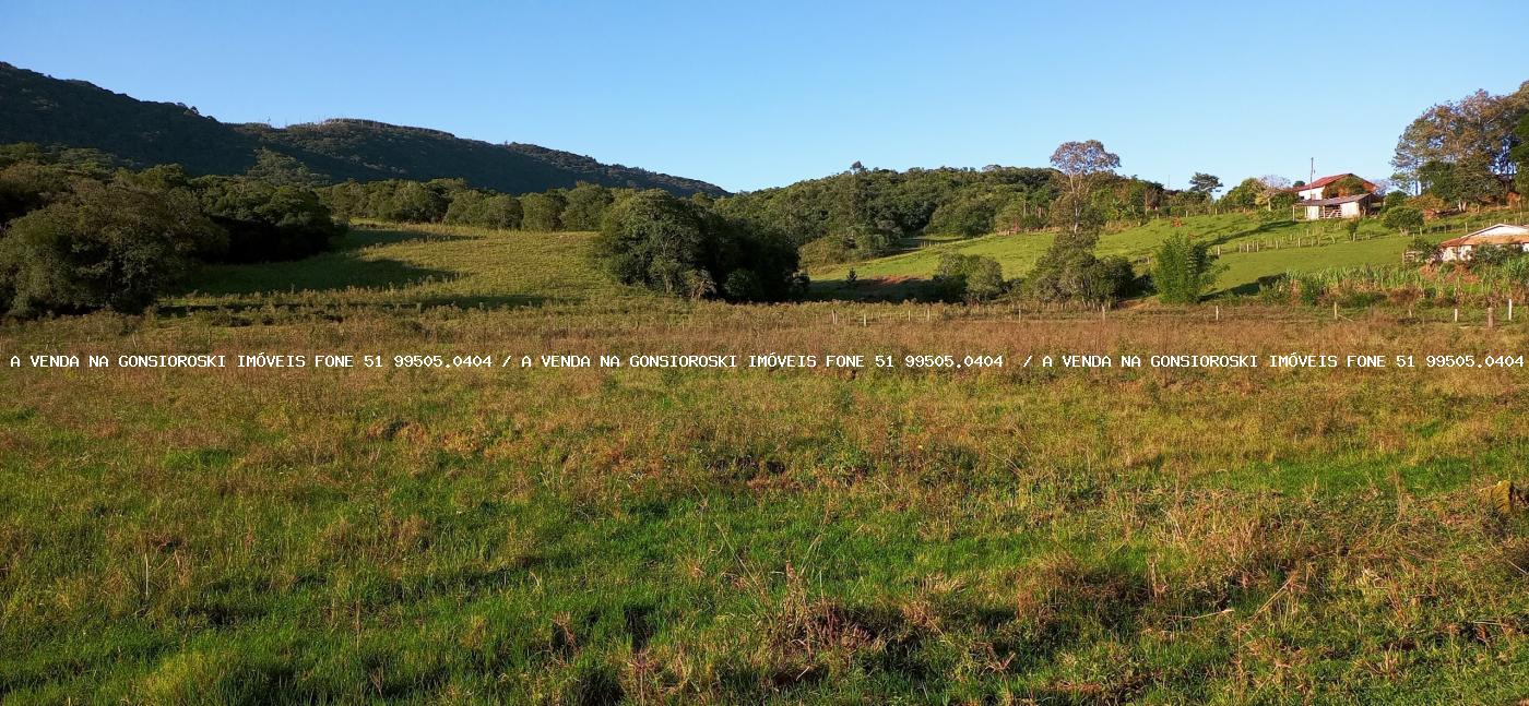 Sítio, 3 quartos, 6 hectares - Foto 22