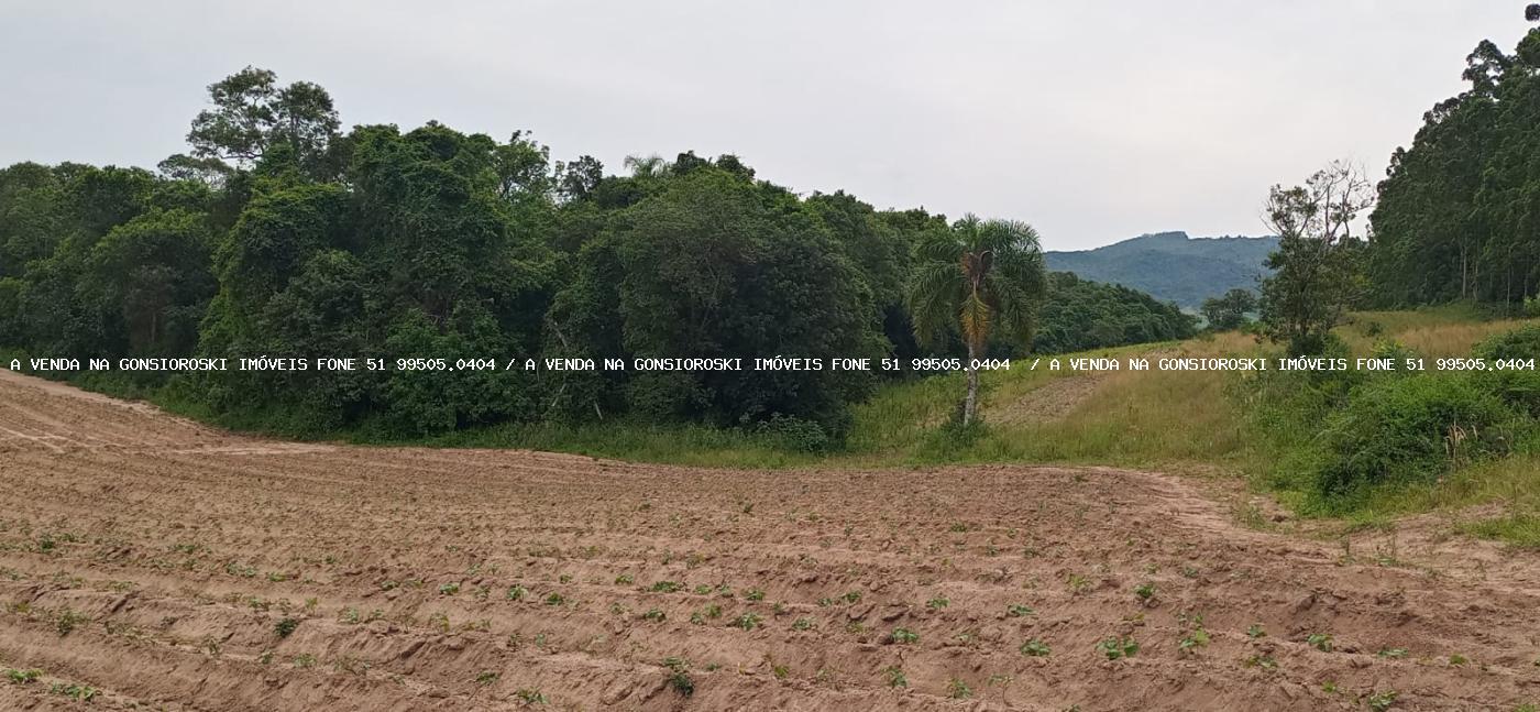 Loteamento e Condomínio, 30 hectares - Foto 3