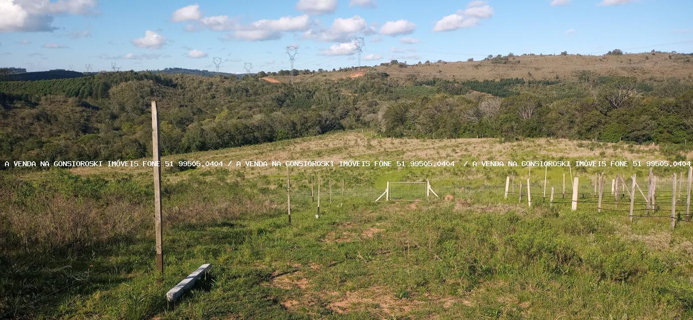 Fazenda, 19 hectares - Foto 25