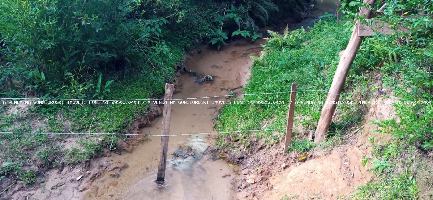 Sítio, 2 hectares - Foto 23