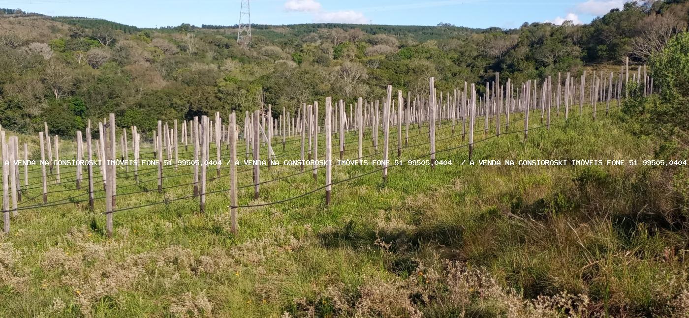 Fazenda, 19 hectares - Foto 24