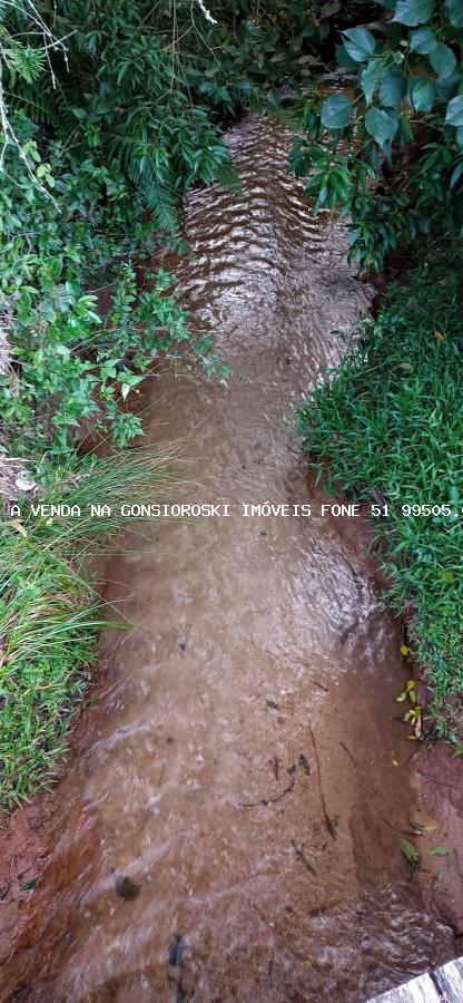 Sítio, 2 hectares - Foto 24