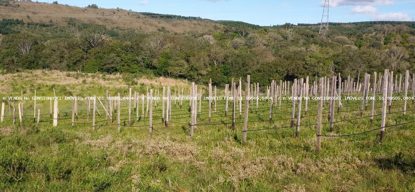 Fazenda, 19 hectares - Foto 23