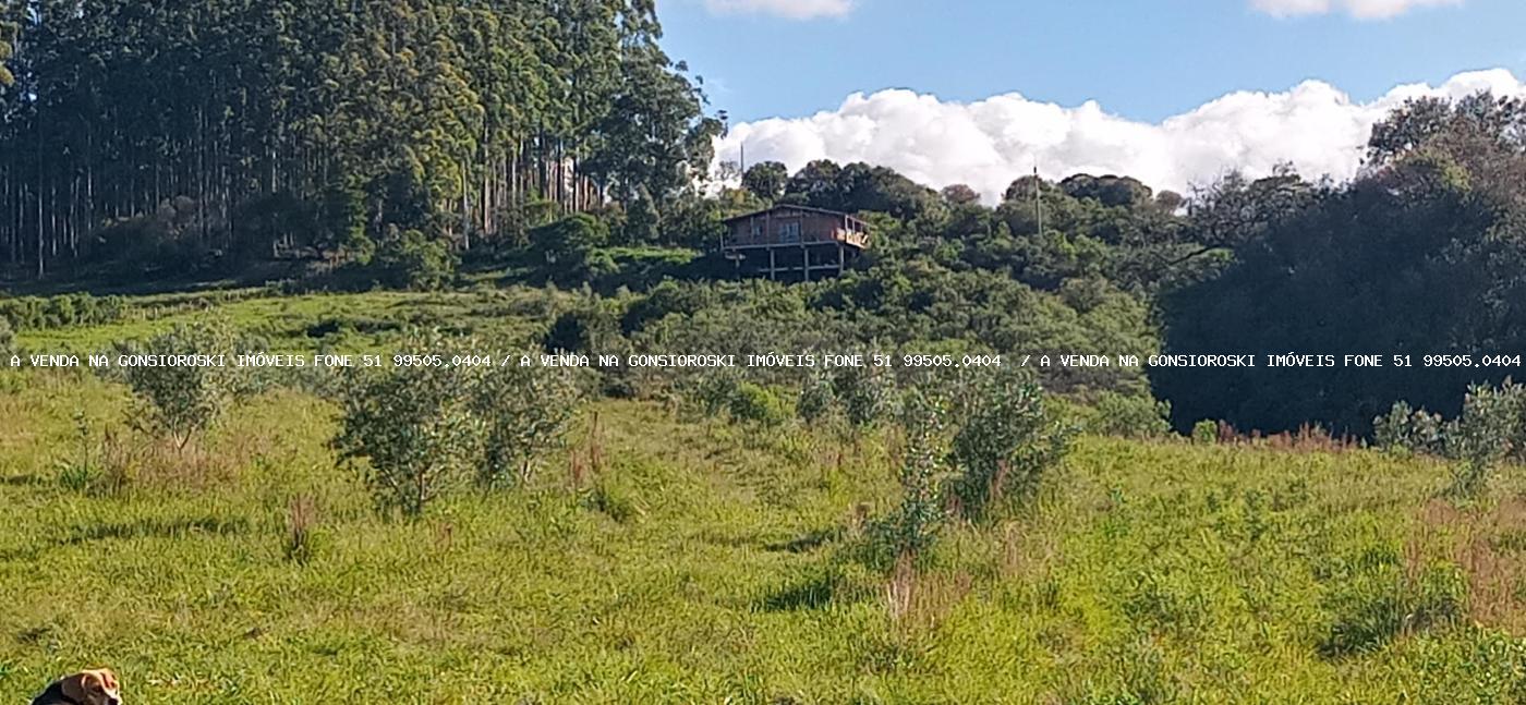 Fazenda, 19 hectares - Foto 26