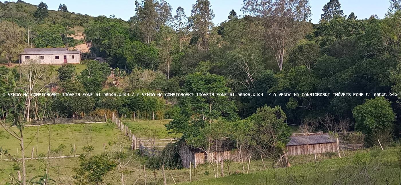 Sítio, 2 hectares - Foto 26