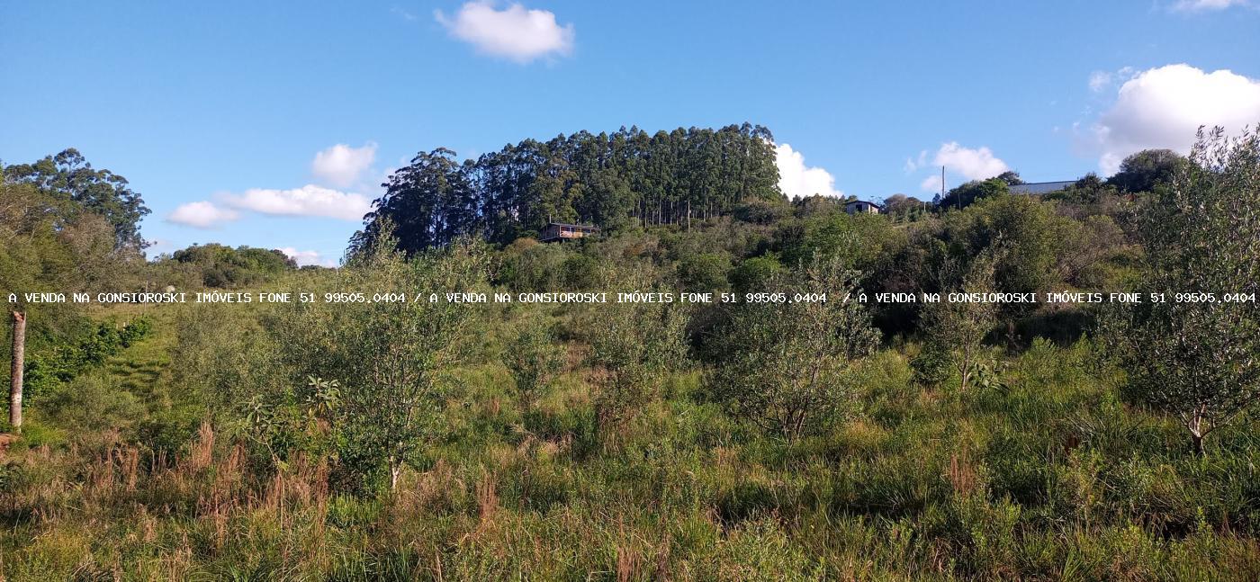 Fazenda, 19 hectares - Foto 27