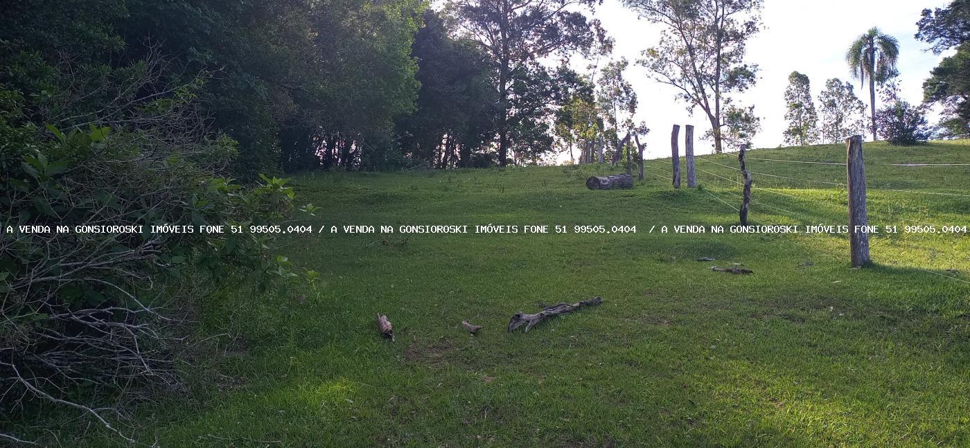 Sítio, 2 hectares - Foto 27