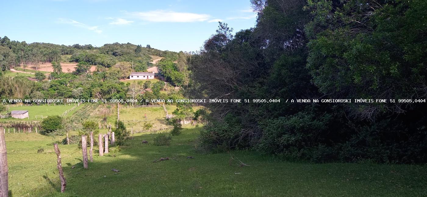 Sítio, 2 hectares - Foto 28