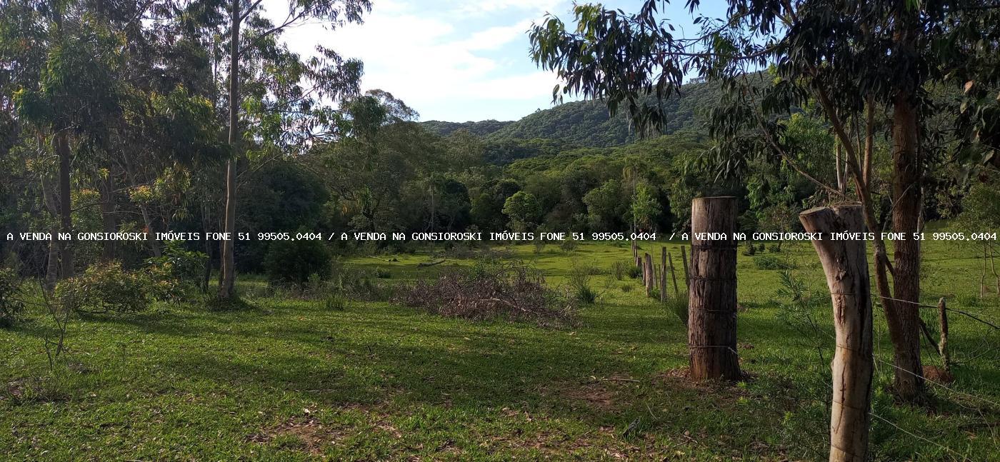 Sítio, 2 hectares - Foto 29