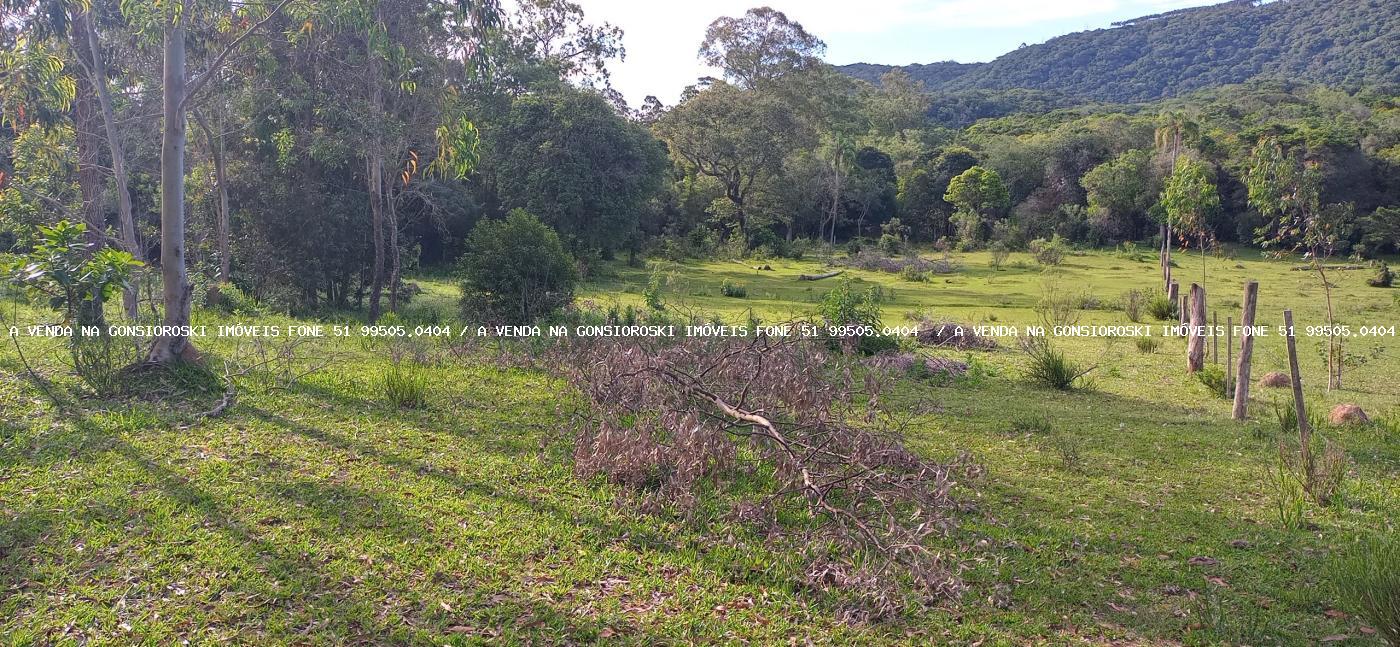 Sítio, 2 hectares - Foto 31