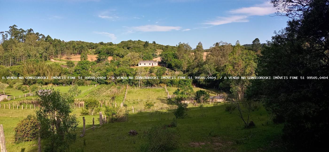 Sítio, 2 hectares - Foto 32