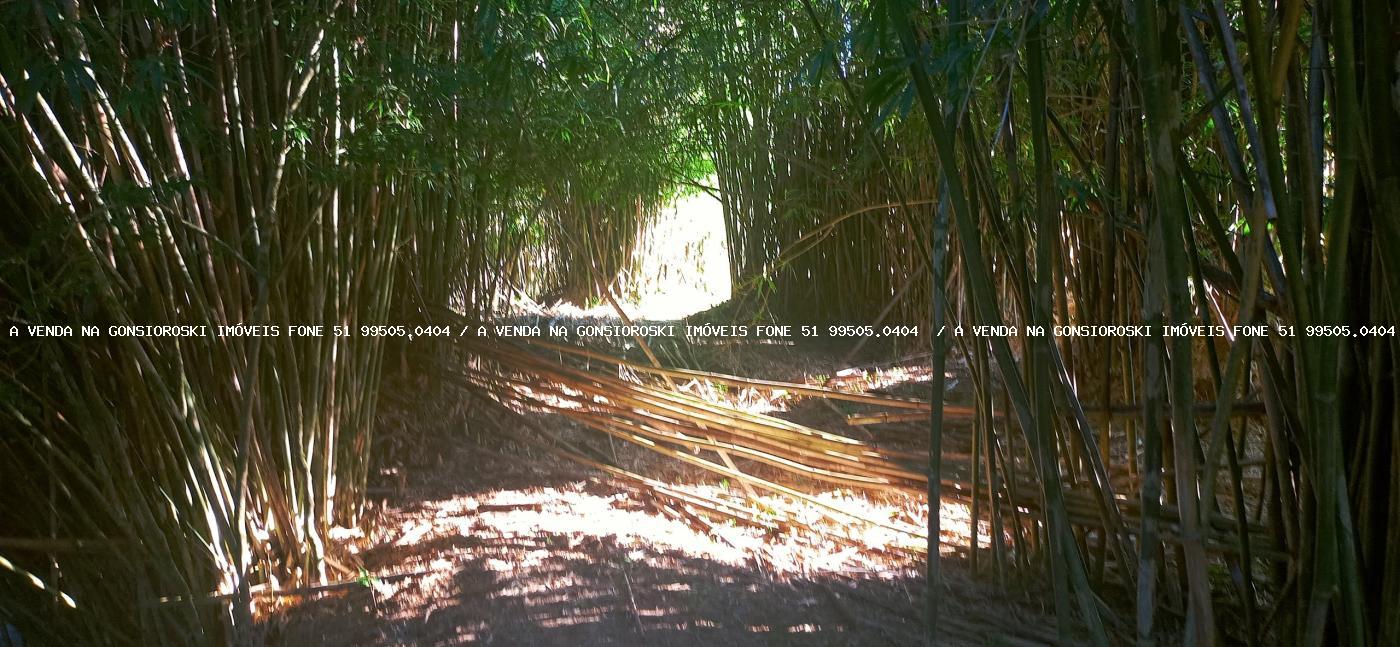 Loteamento e Condomínio, 1 m² - Foto 3