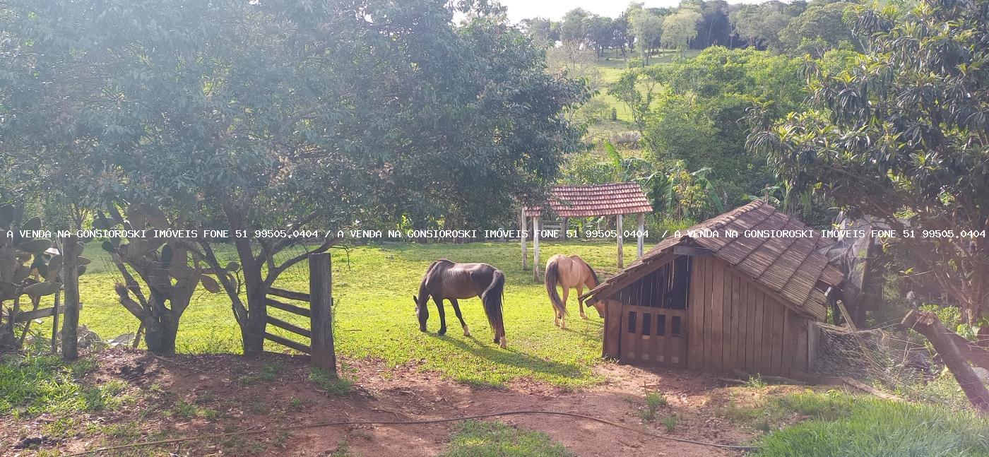 Sítio, 2 hectares - Foto 14