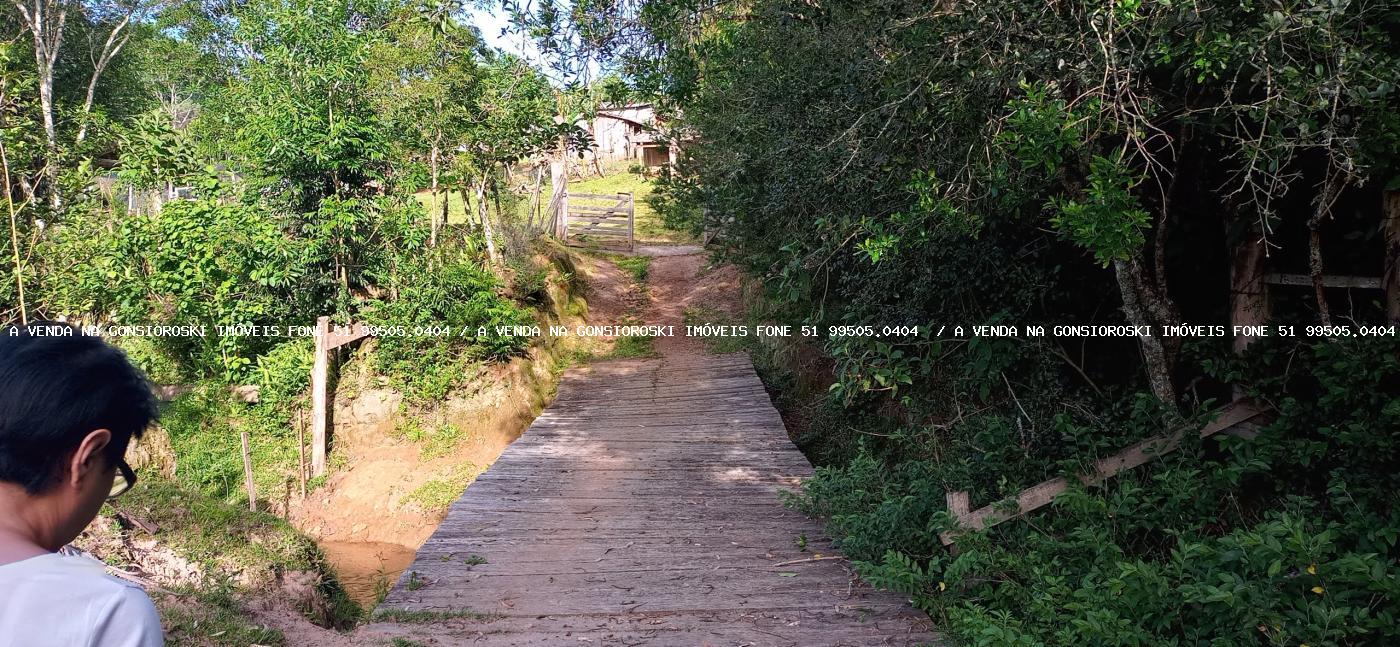 Sítio, 2 hectares - Foto 33