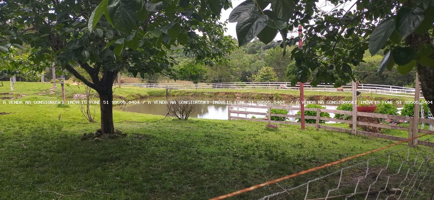 Fazenda, 13 hectares - Foto 22