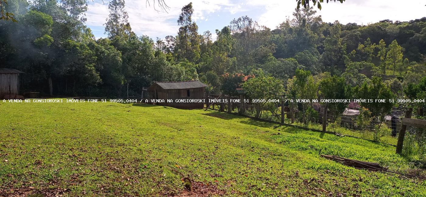 Sítio, 2 hectares - Foto 15