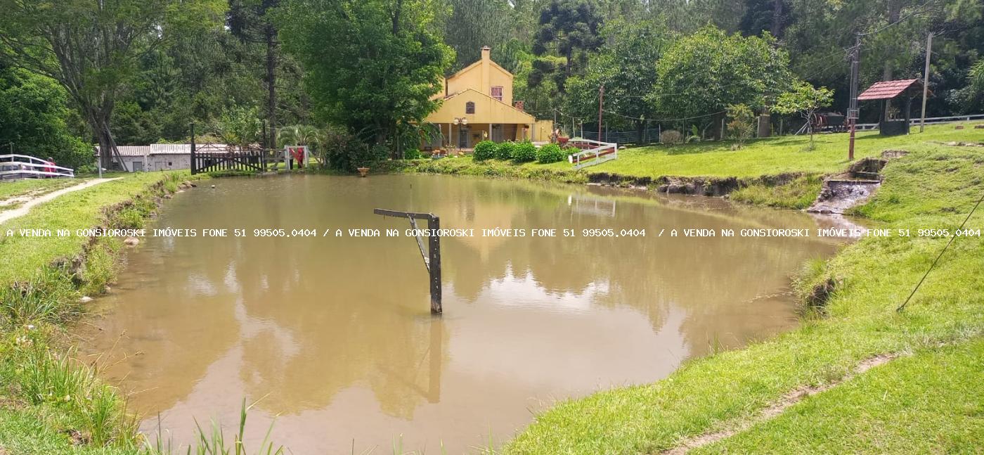 Fazenda, 13 hectares - Foto 17