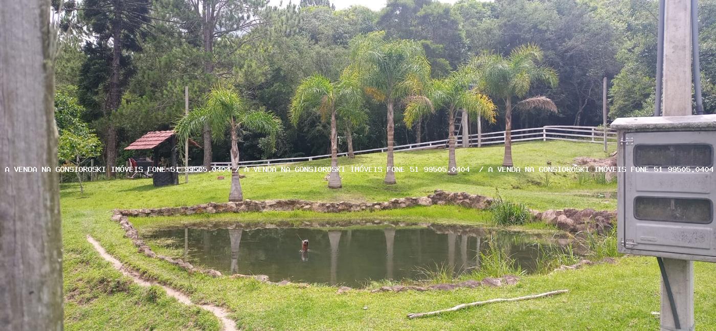 Fazenda, 13 hectares - Foto 21