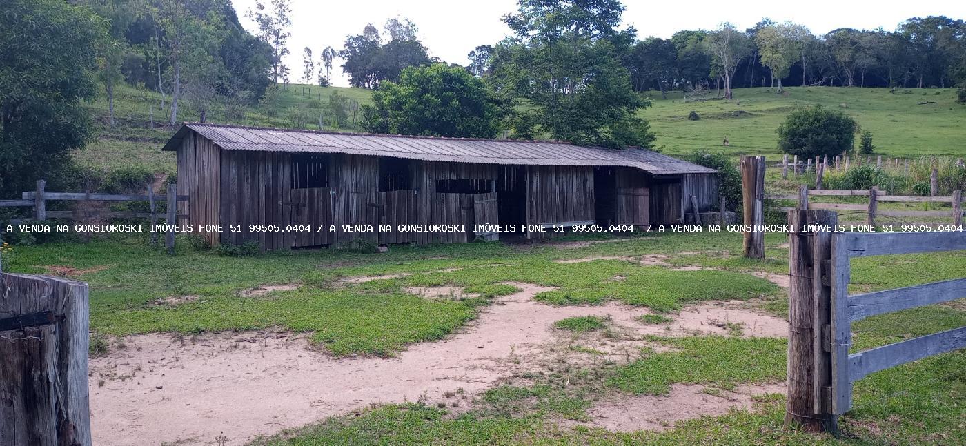 Sítio, 2 hectares - Foto 16