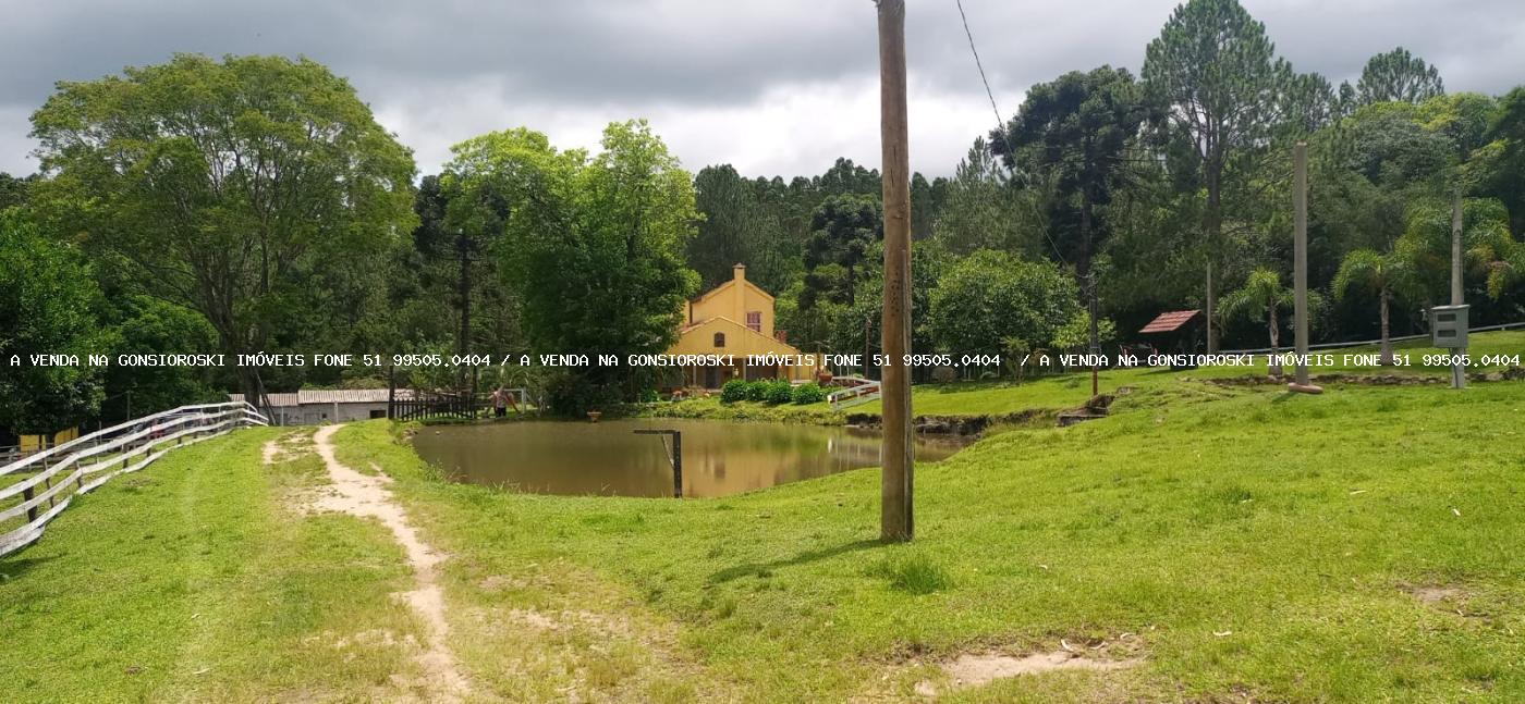 Fazenda, 13 hectares - Foto 23