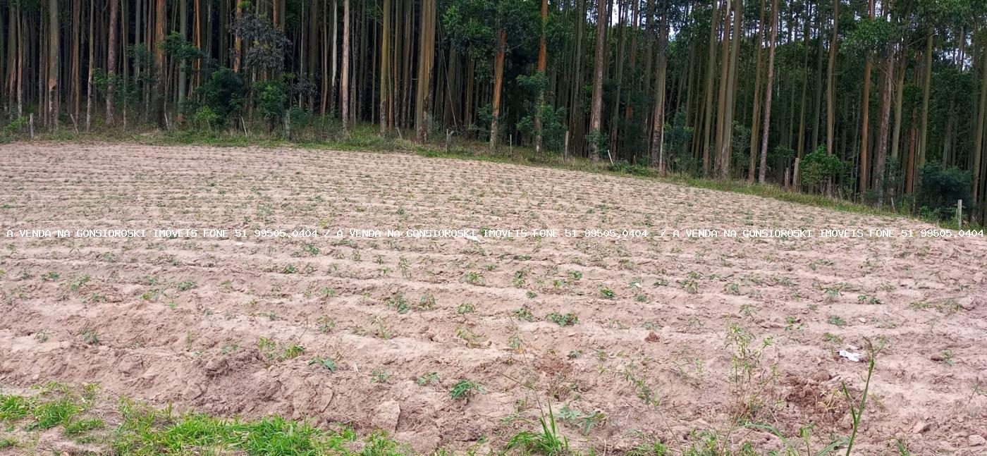 Loteamento e Condomínio, 30 hectares - Foto 6