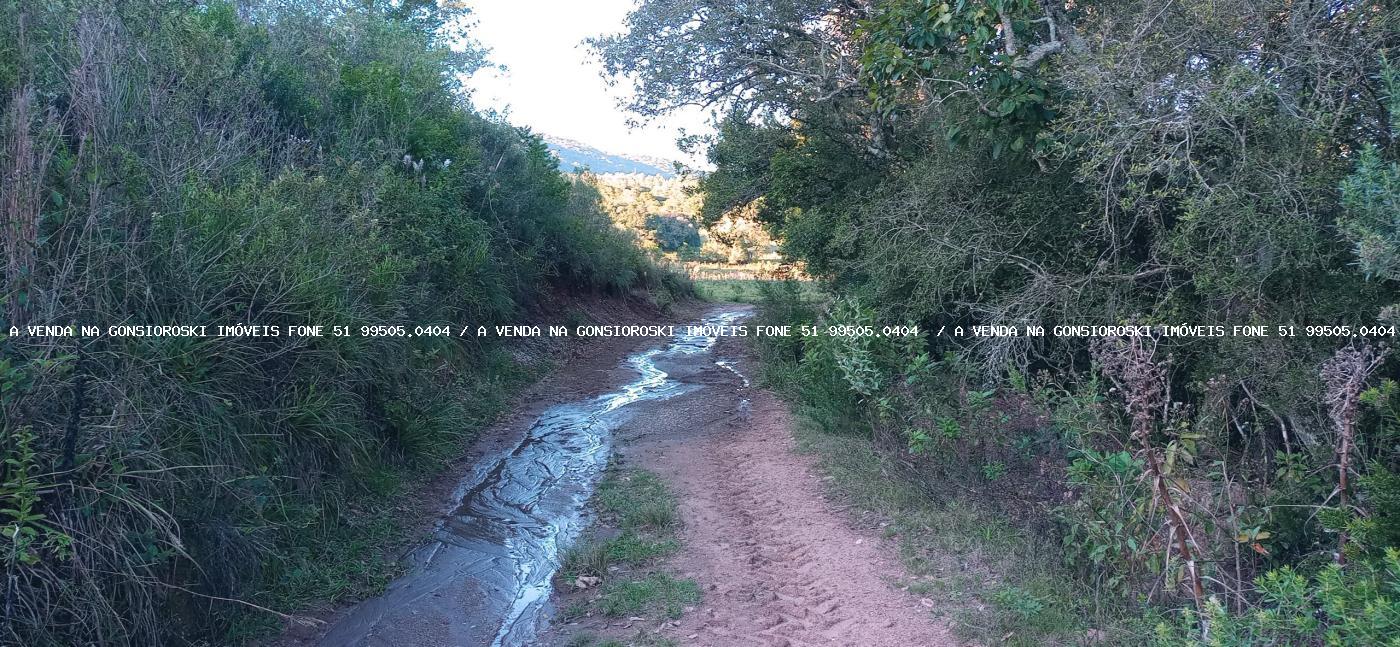 Loteamento e Condomínio, 10000 m² - Foto 7