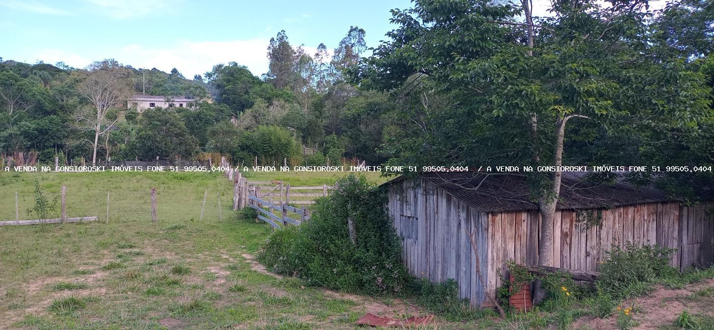 Sítio, 2 hectares - Foto 17