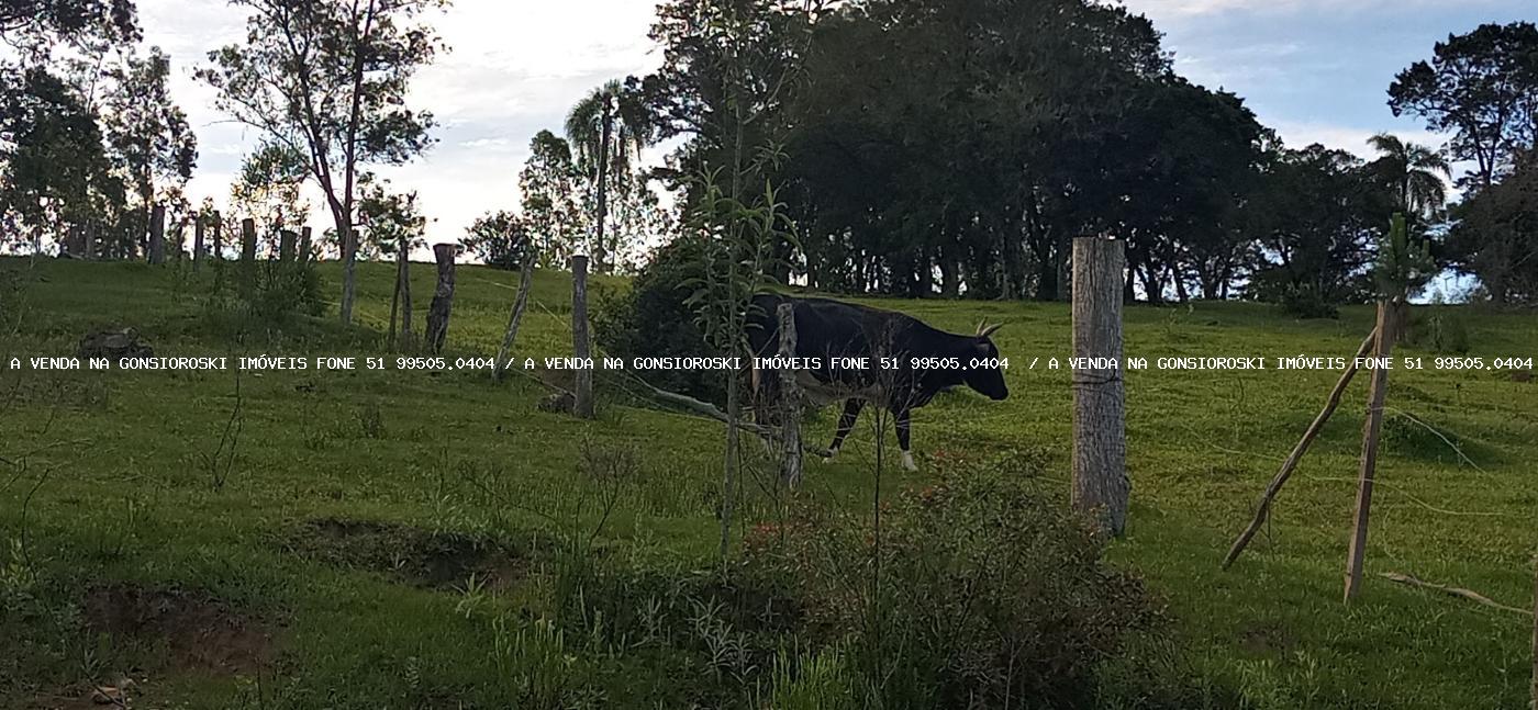 Sítio, 2 hectares - Foto 18