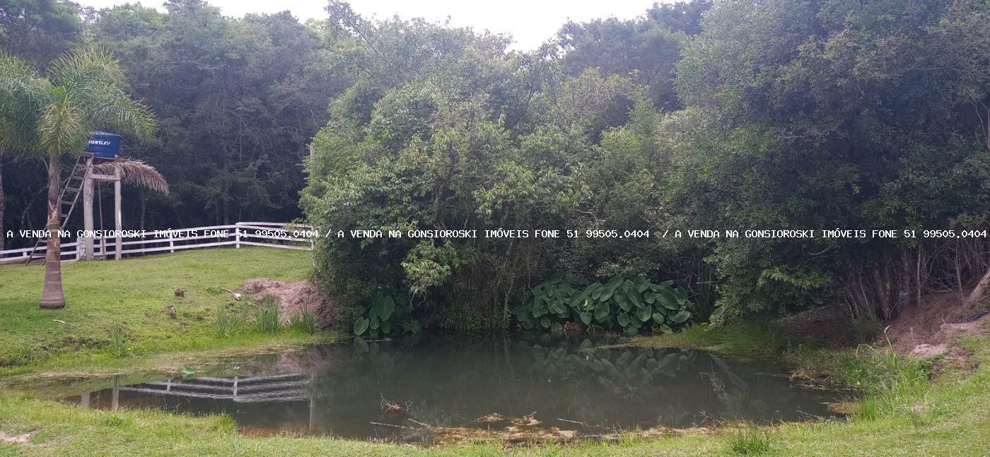 Fazenda, 13 hectares - Foto 29