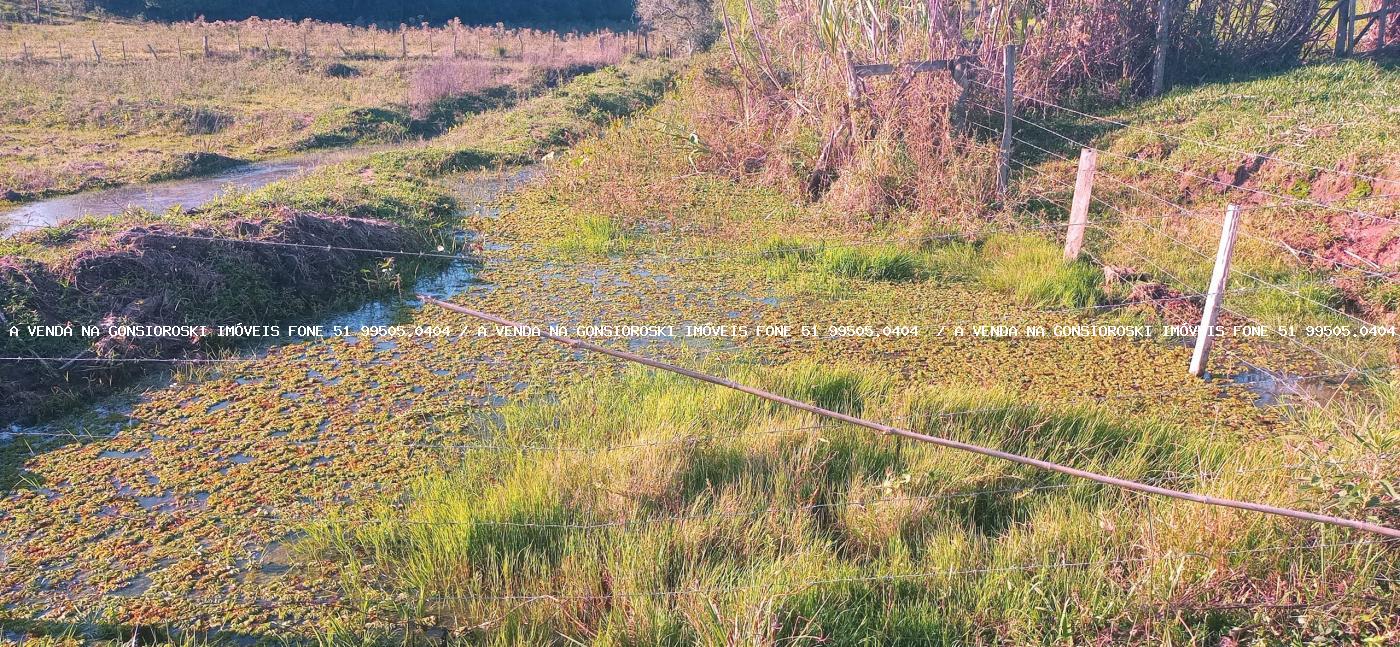 Sítio, 3 quartos, 6 hectares - Foto 9