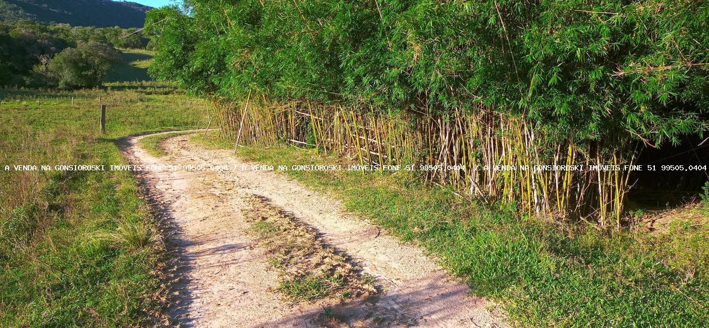 Loteamento e Condomínio, 10000 m² - Foto 9