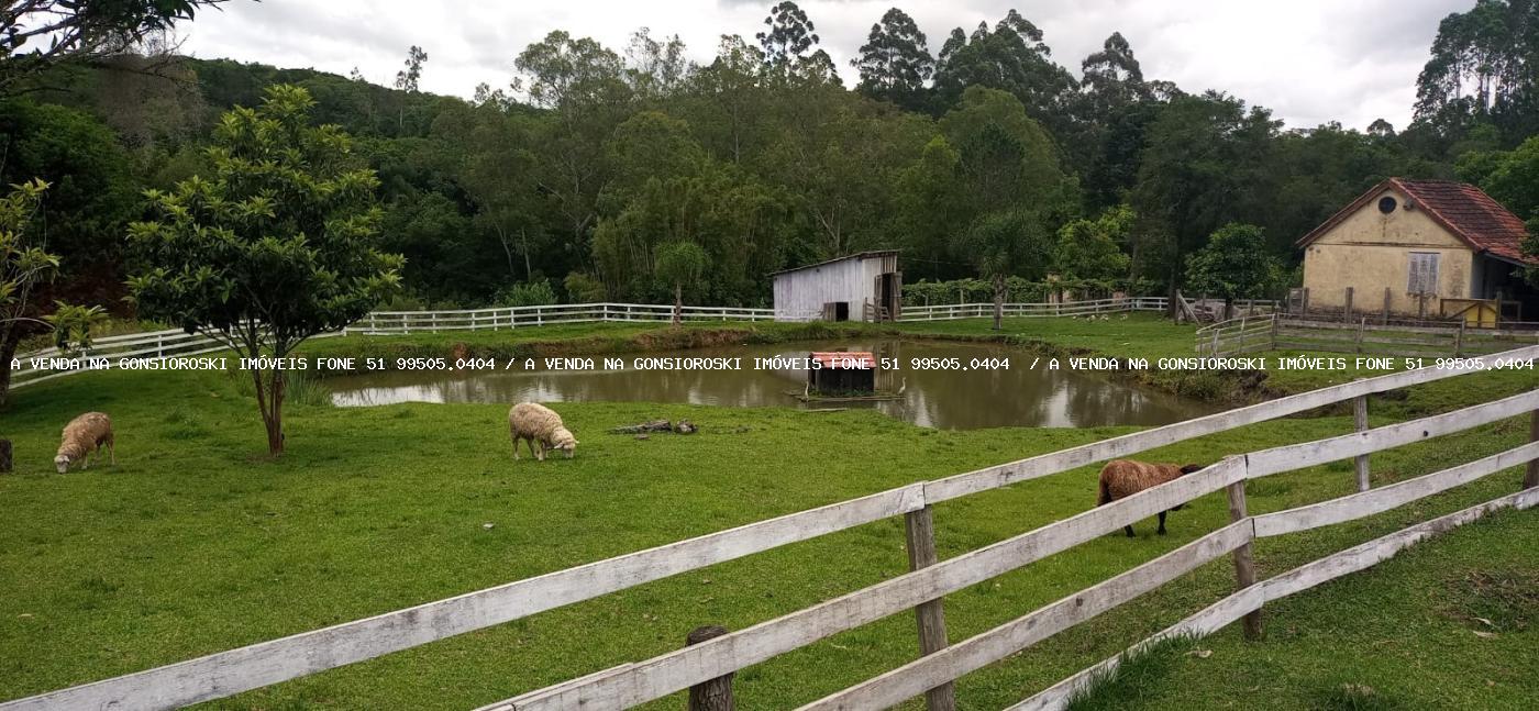 Fazenda, 13 hectares - Foto 26
