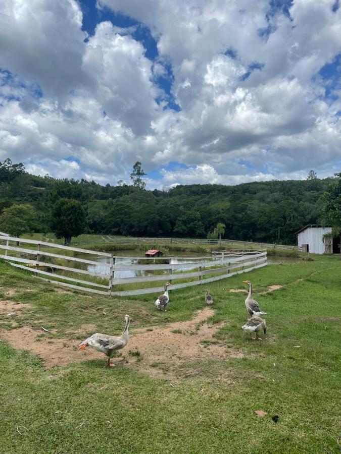 Fazenda, 13 hectares - Foto 35