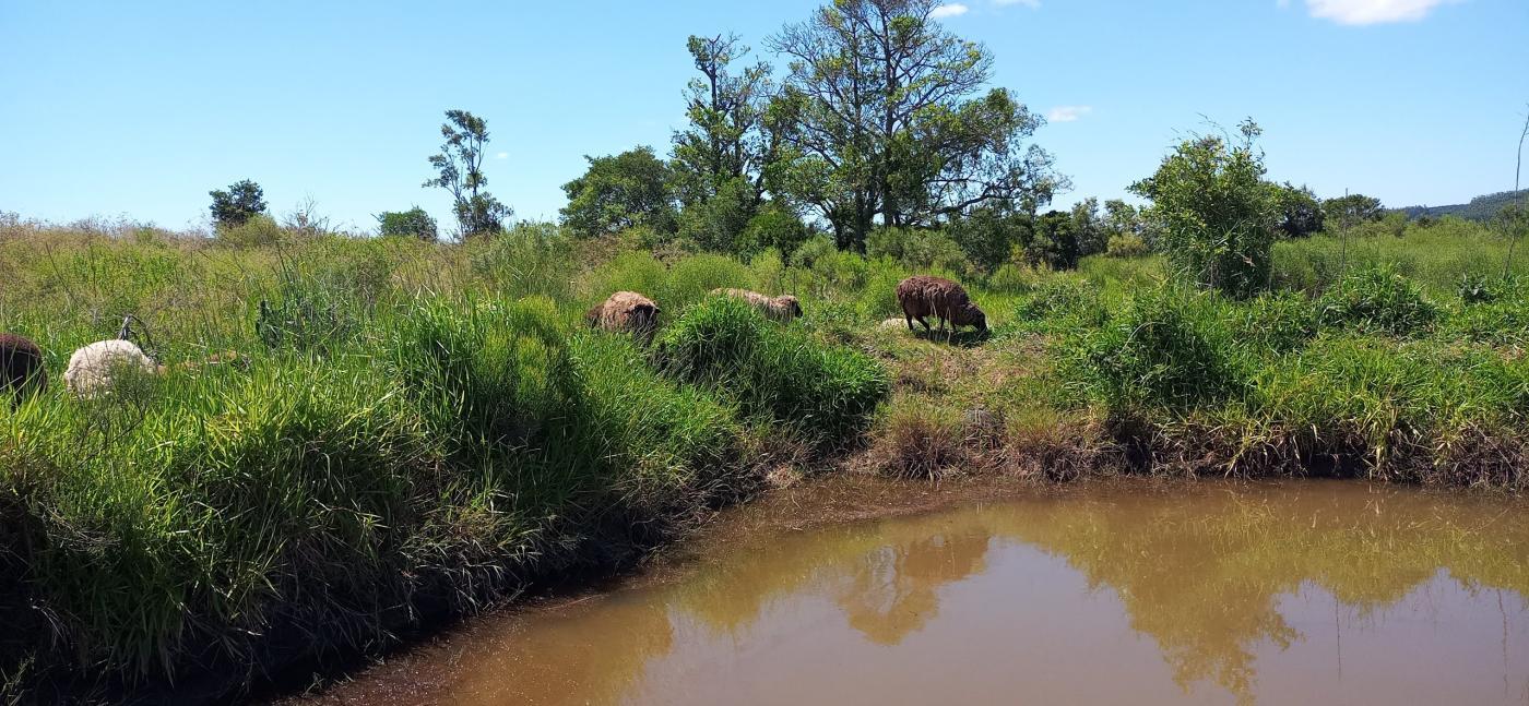 Loteamento e Condomínio, 12 hectares - Foto 17