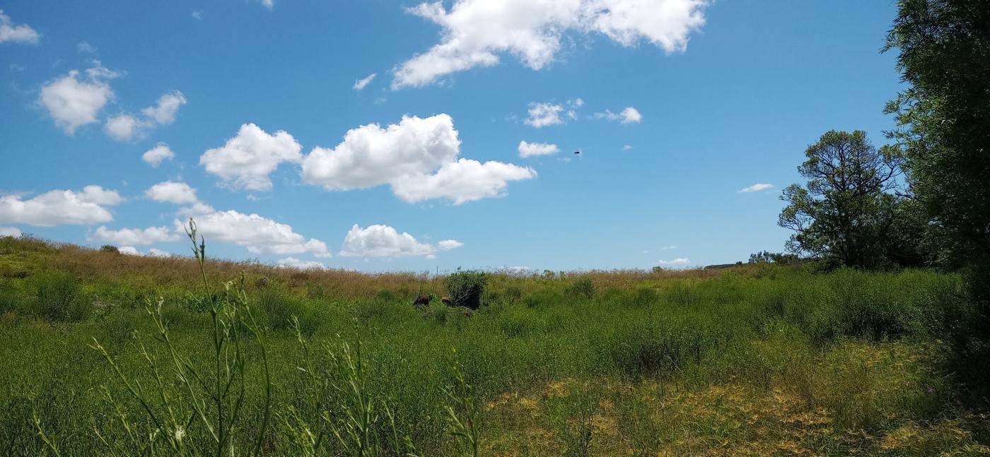 Loteamento e Condomínio, 12 hectares - Foto 19