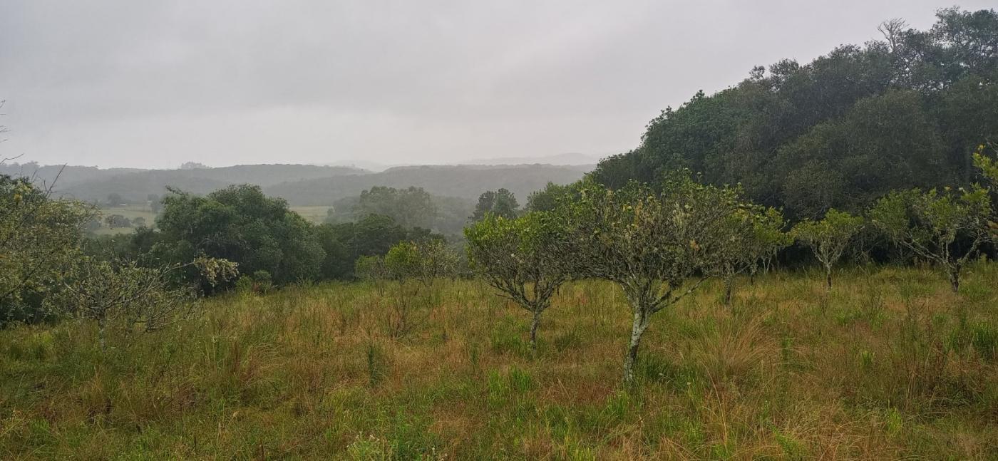 Loteamento e Condomínio, 7 hectares - Foto 6