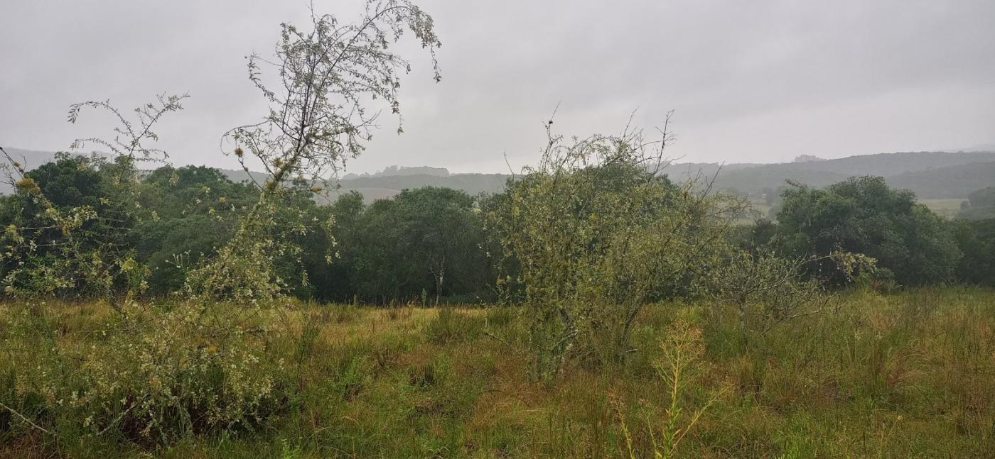 Loteamento e Condomínio, 7 hectares - Foto 8