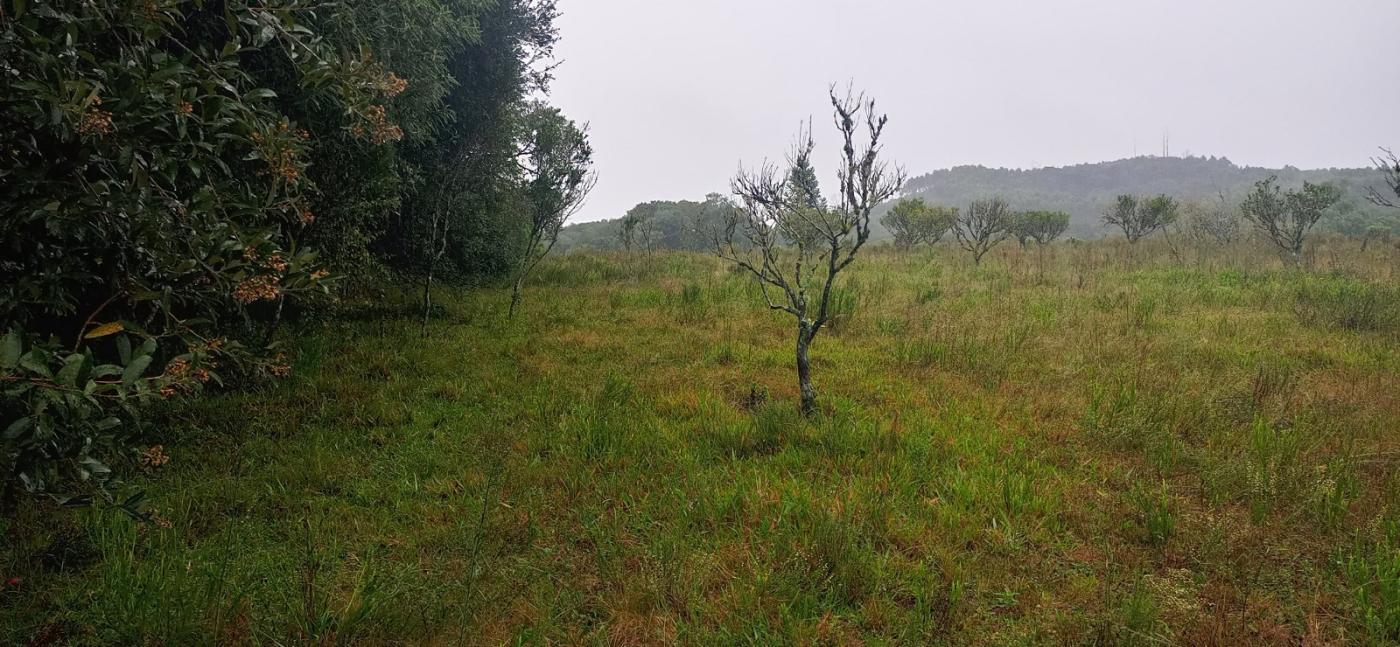 Loteamento e Condomínio, 7 hectares - Foto 12