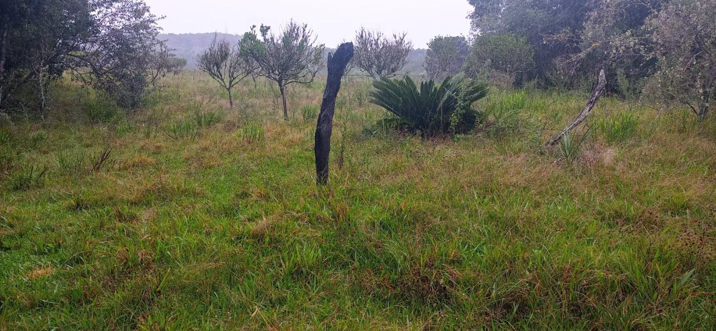 Loteamento e Condomínio, 7 hectares - Foto 14