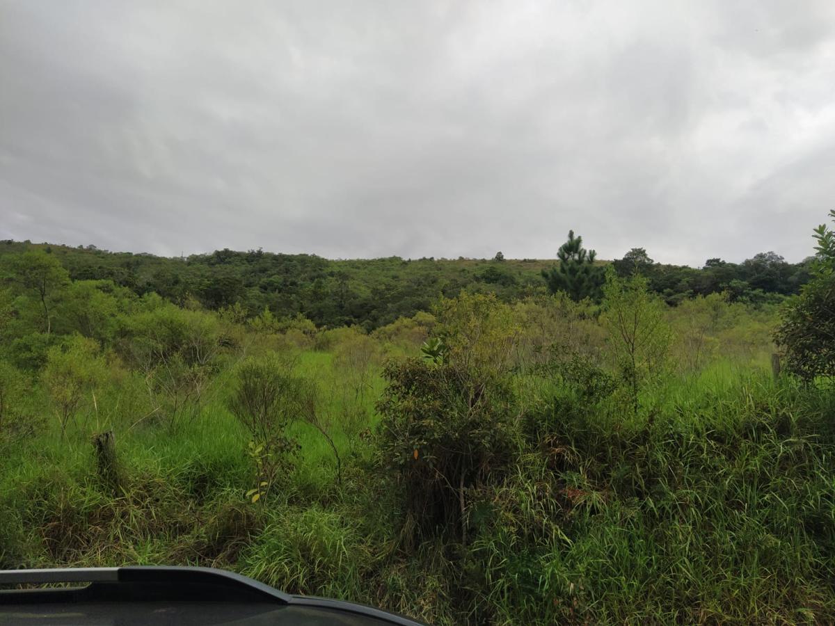 Sítio, 7 hectares - Foto 3