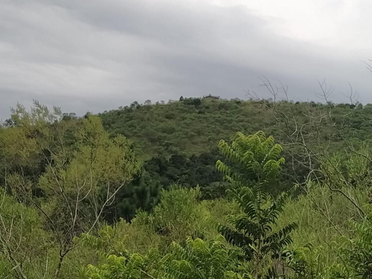 Sítio, 7 hectares - Foto 5