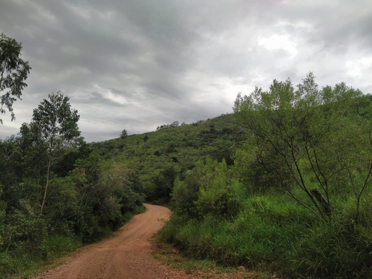 Sítio, 7 hectares - Foto 6