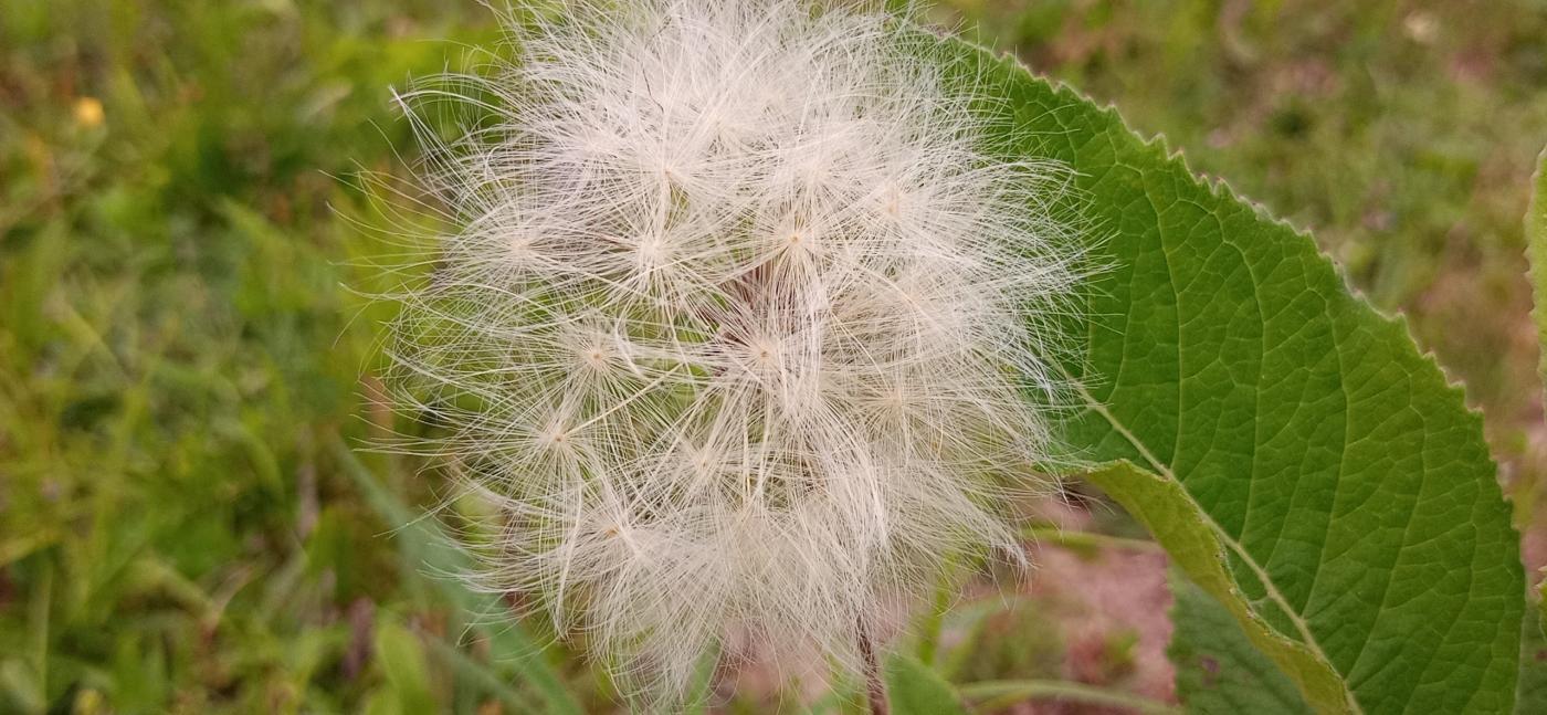 Loteamento e Condomínio, 3 hectares - Foto 31