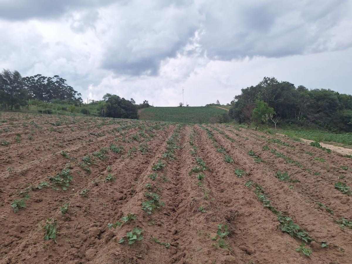 Loteamento e Condomínio, 3 hectares - Foto 22