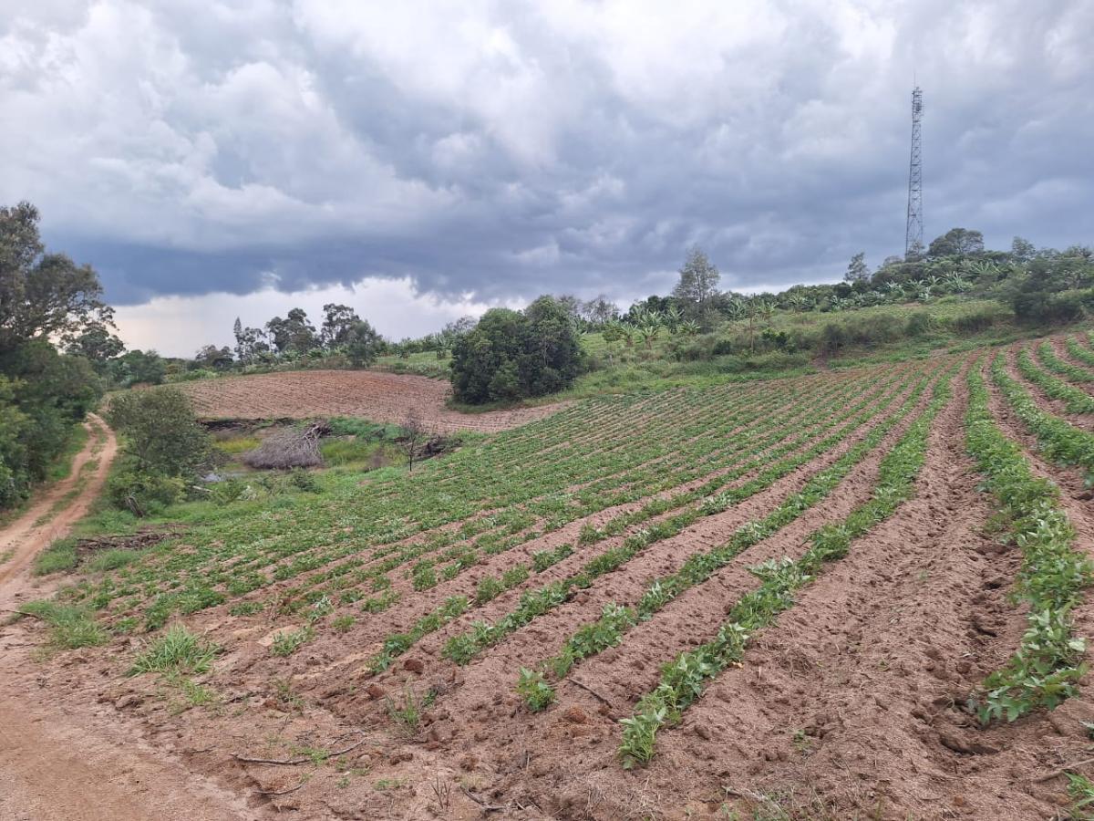 Loteamento e Condomínio, 3 hectares - Foto 23