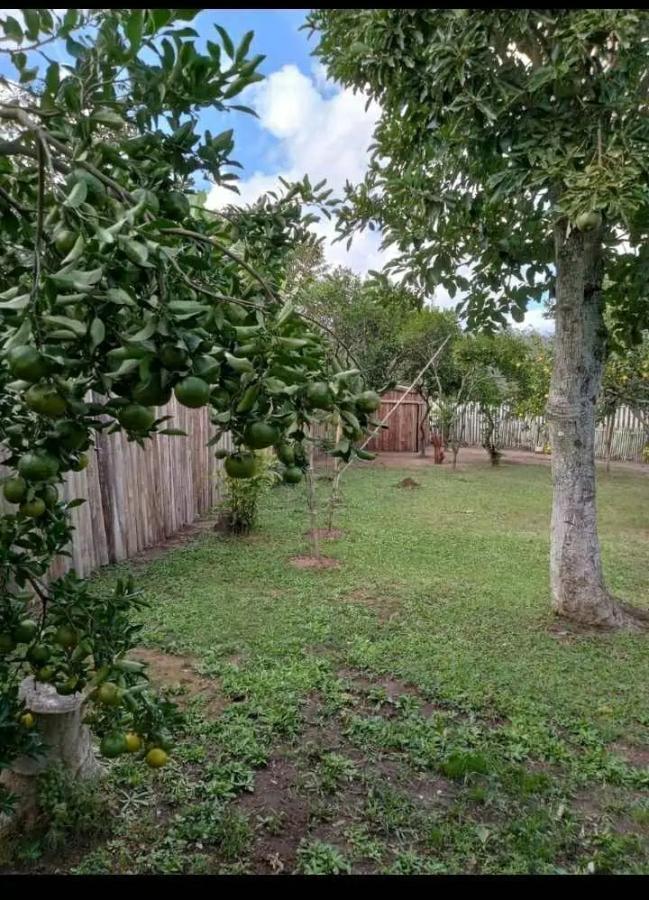 Casa, 3 quartos - Foto 11