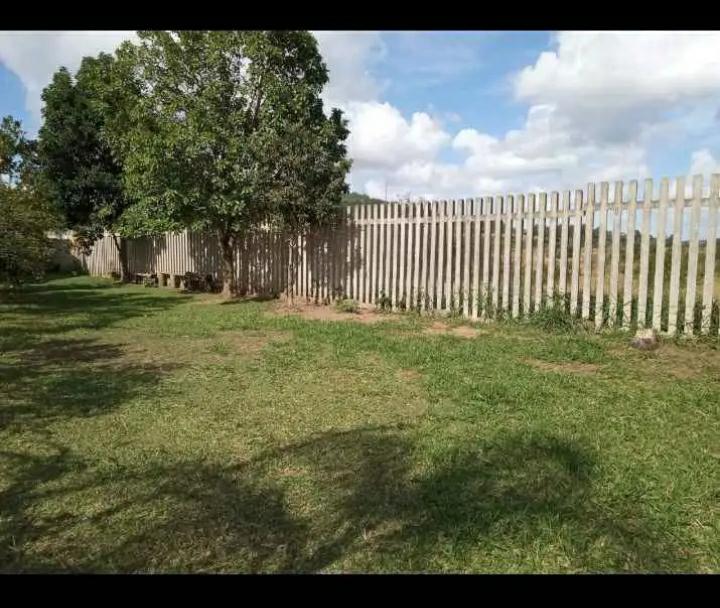 Casa, 3 quartos - Foto 14