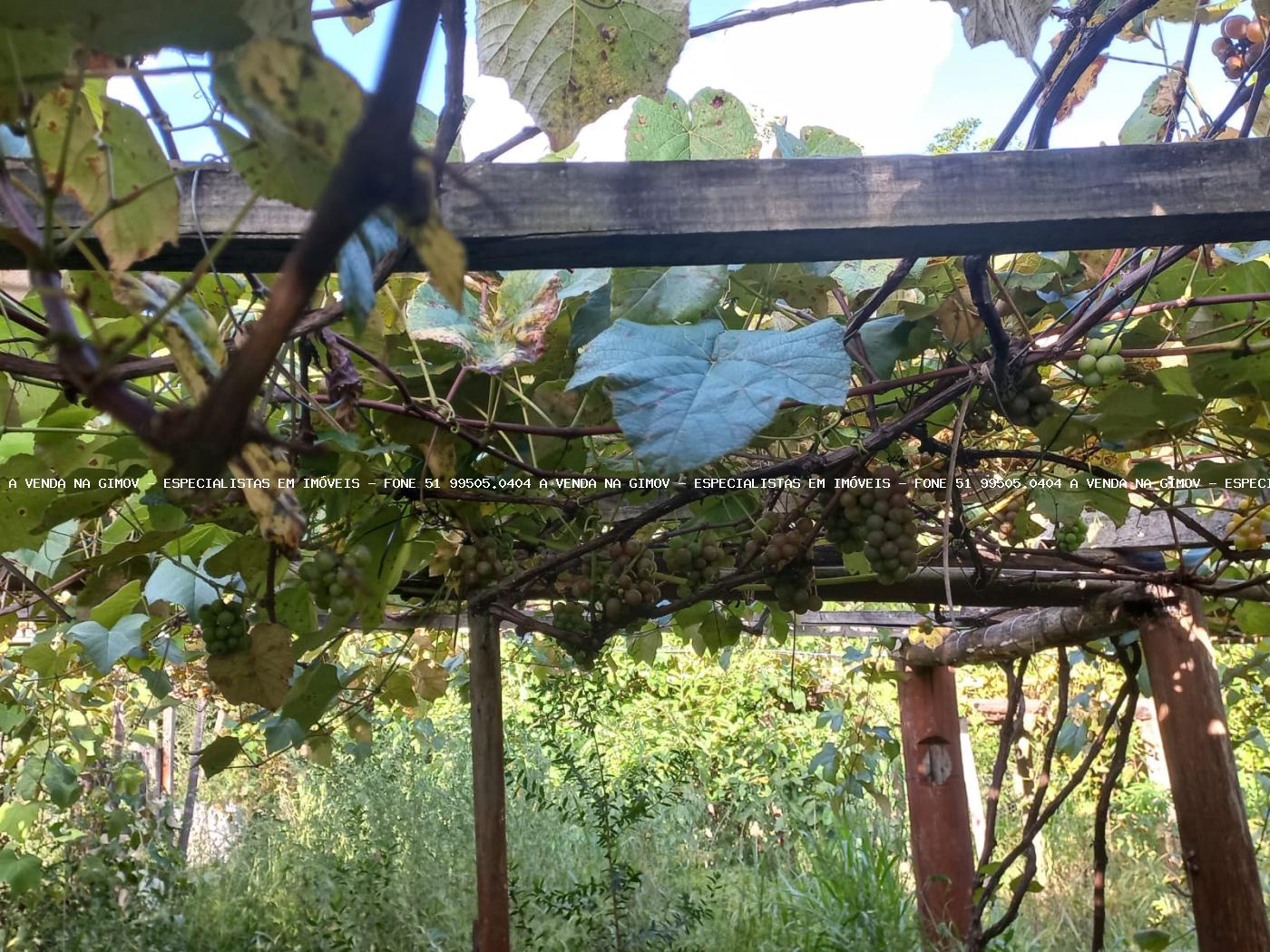 Chácara, 5 quartos, 2 hectares - Foto 20